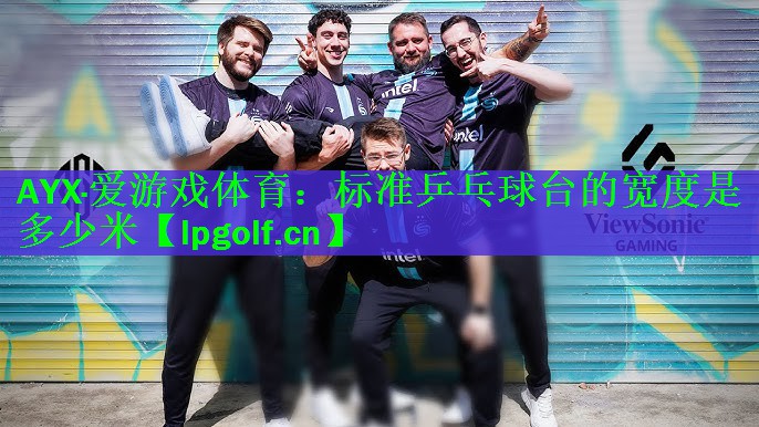 AYX·爱游戏体育：标准乒乓球台的宽度是多少米