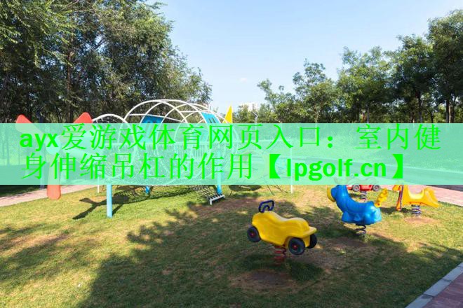 <strong>ayx爱游戏体育网页入口：室内健身伸缩吊杠的作用</strong>