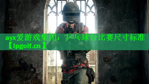 ayx爱游戏集团：乒乓球台比赛尺寸标准