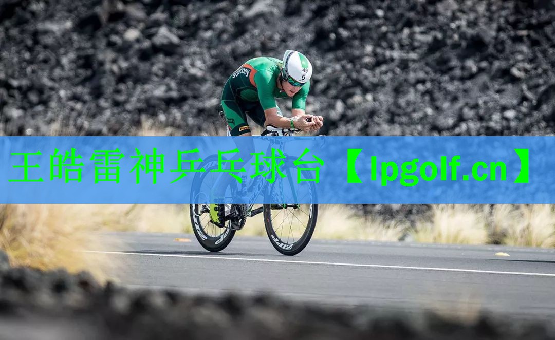 王皓雷神乒乓球台