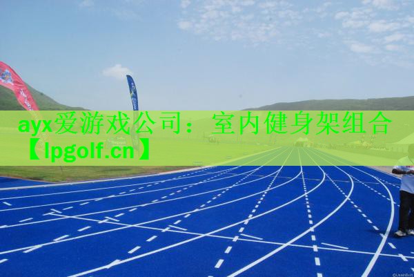 <strong>ayx爱游戏公司：室内健身架组合</strong>