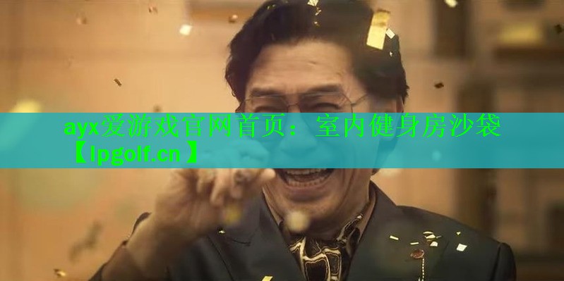 ayx爱游戏官网首页：室内健身房沙袋