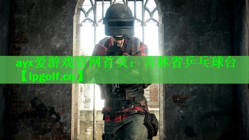 ayx爱游戏官网首页：吉林省乒乓球台