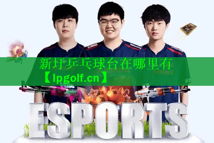 新圩乒乓球台在哪里有