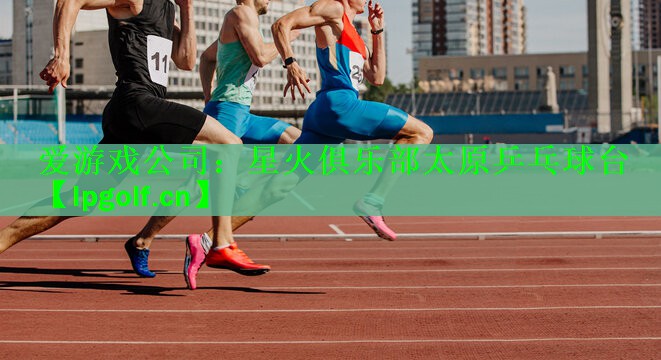 爱游戏公司：星火俱乐部太原乒乓球台
