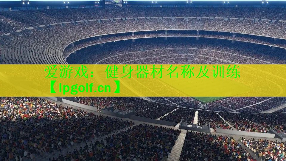<strong>爱游戏：健身器材名称及训练</strong>