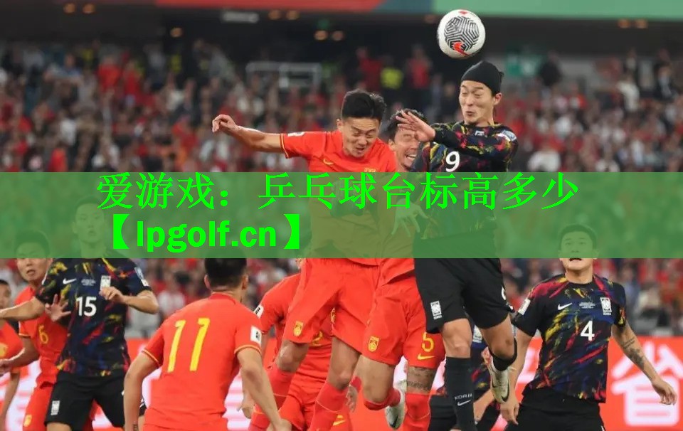 爱游戏：乒乓球台标高多少