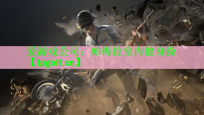 <strong>爱游戏公司：帕梅拉室内健身操</strong>