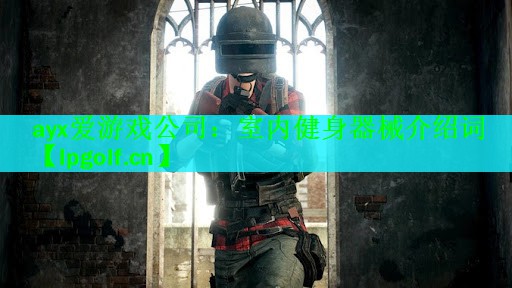 <strong>ayx爱游戏公司：室内健身器械介绍词</strong>