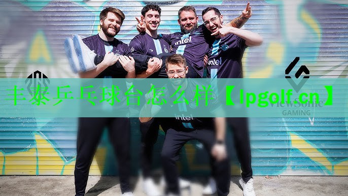 <strong>丰泰乒乓球台怎么样</strong>