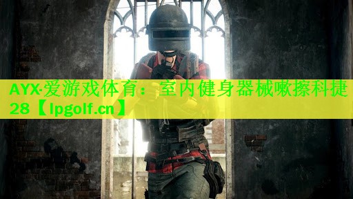 <strong>AYX·爱游戏体育：室内健身器械嗽擦科捷28</strong>