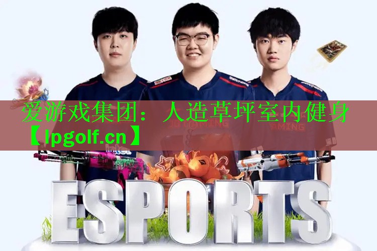 爱游戏集团：人造草坪室内健身