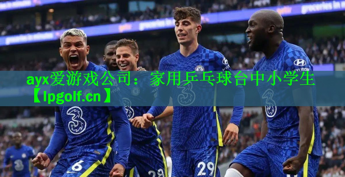 <strong>ayx爱游戏公司：家用乒乓球台中小学生</strong>