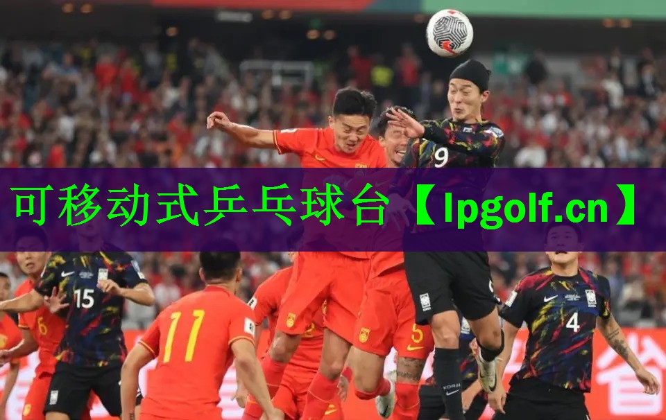 <strong>可移动式乒乓球台</strong>