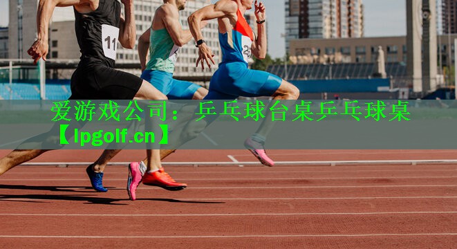 <strong>爱游戏公司：乒乓球台桌乒乓球桌</strong>