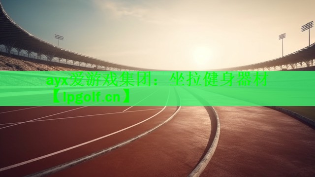 <strong>ayx爱游戏集团：坐拉健身器材</strong>