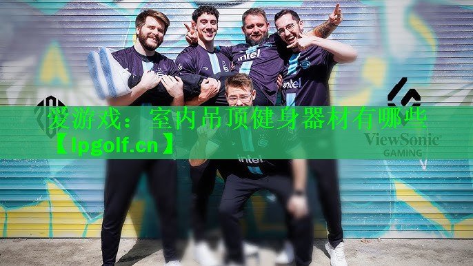 爱游戏：室内吊顶健身器材有哪些