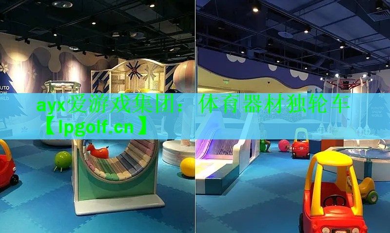 ayx爱游戏集团：体育器材独轮车