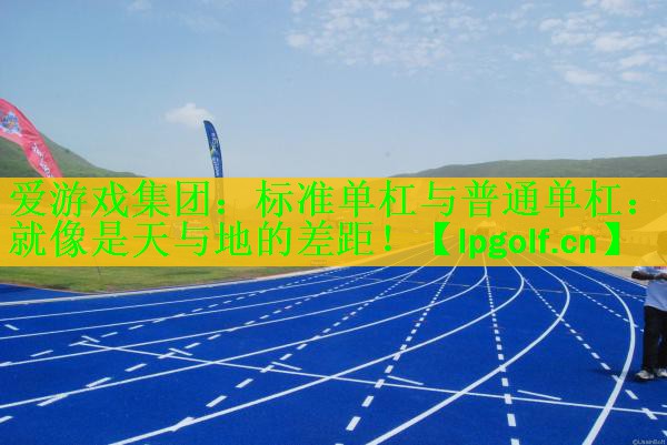 <strong>爱游戏集团：标准单杠与普通单杠：就像是天与地的差距！</strong>