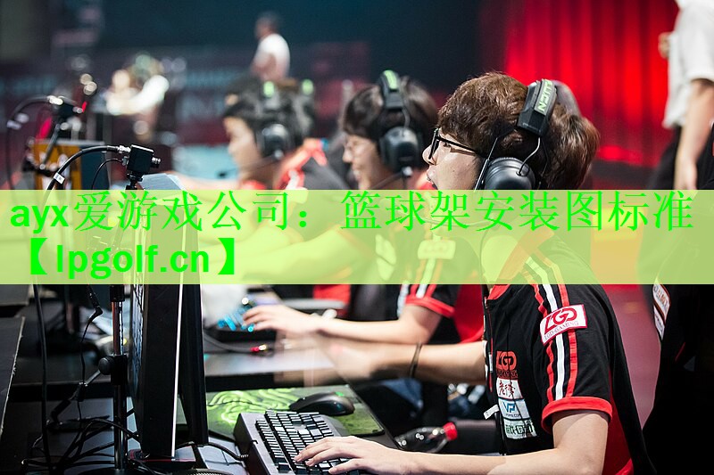 <strong>ayx爱游戏公司：篮球架安装图标准</strong>