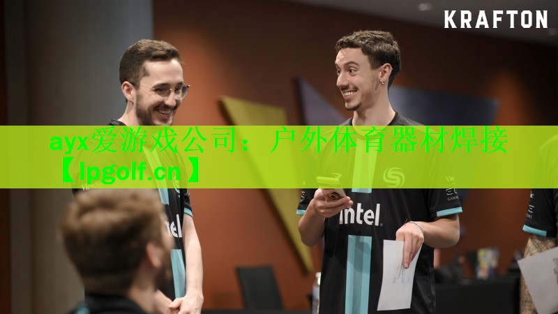 <strong>ayx爱游戏公司：户外体育器材焊接</strong>