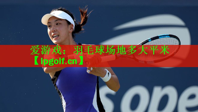 <strong>爱游戏：羽毛球场地多大平米</strong>
