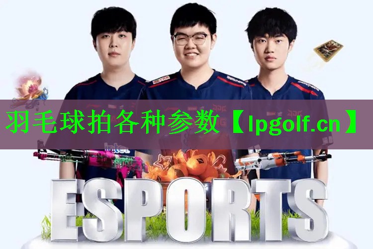 <strong>羽毛球拍各种参数</strong>
