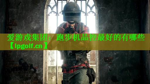 <strong>爱游戏集团：跑步机品控最好的有哪些</strong>