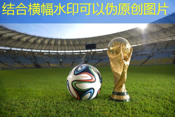 <strong>爱游戏公司：比赛用的羽毛球型号</strong>