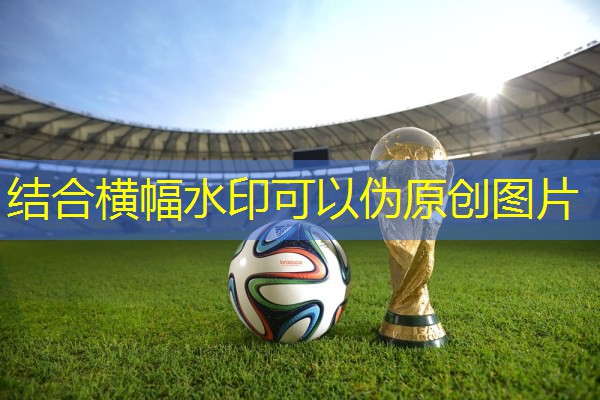 爱游戏公司：羽毛球拍拍贴