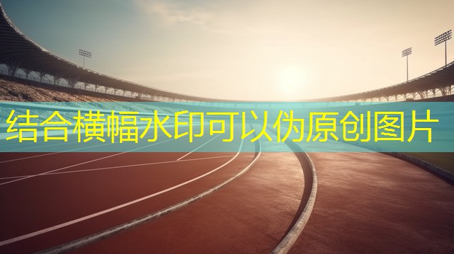 <strong>家用跑步机质量排名</strong>