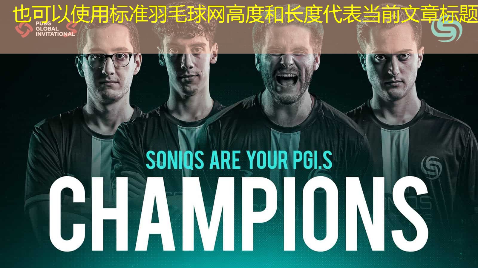 <strong>标准羽毛球网高度和长度</strong>