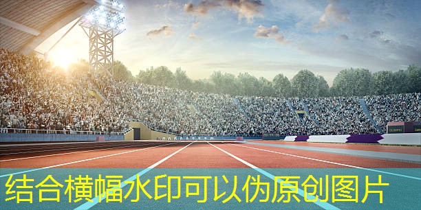 爱游戏官方网站：domyos跑步机t500b