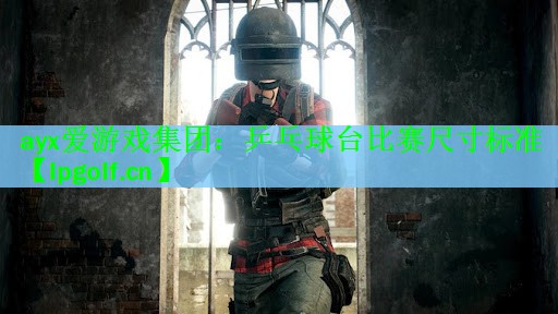 乒乓球台比赛尺寸标准