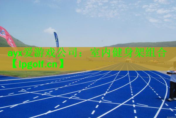 室内健身架组合