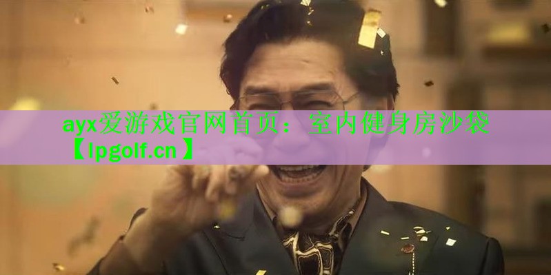 室内健身房沙袋