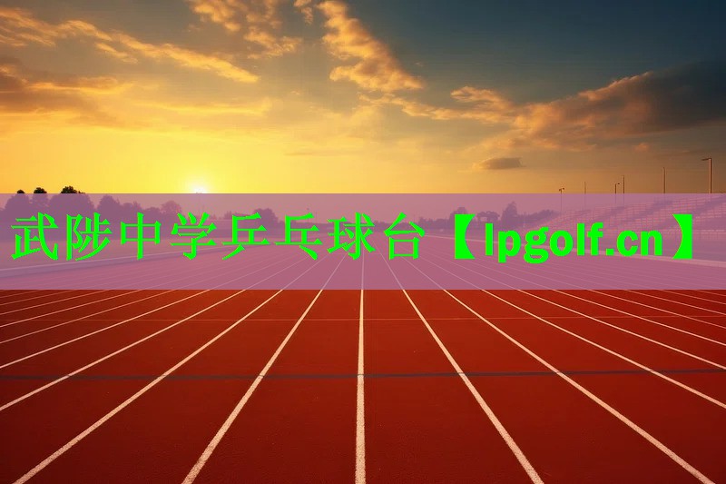 武陟中学乒乓球台