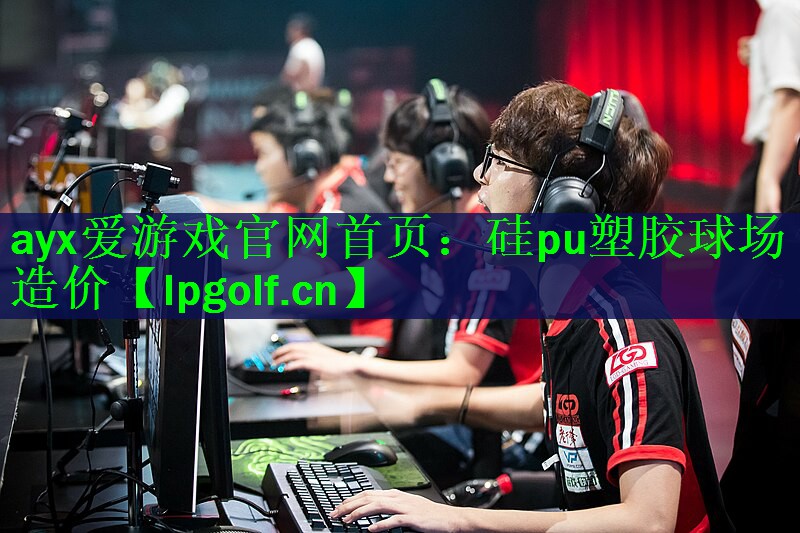 硅pu塑胶球场造价