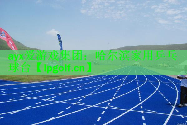 哈尔滨家用乒乓球台