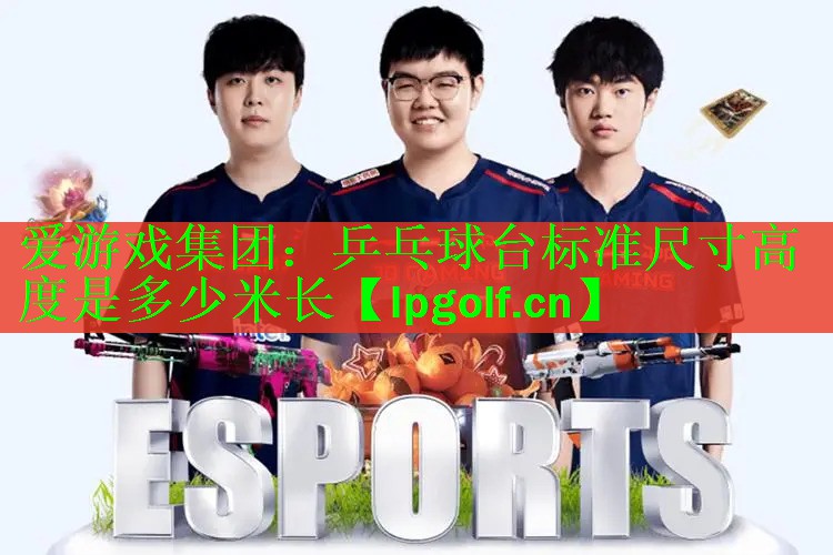 乒乓球台标准尺寸高度是多少米长