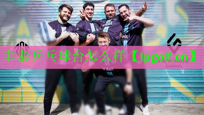 丰泰乒乓球台怎么样