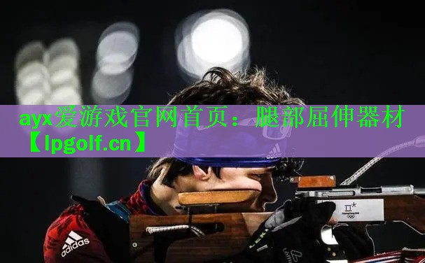 腿部屈伸器材