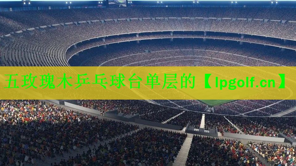 五玫瑰木乒乓球台单层的