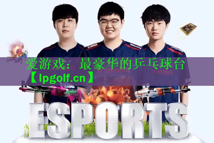 最豪华的乒乓球台