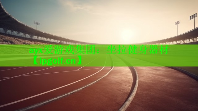 坐拉健身器材