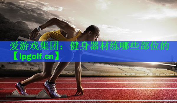 健身器材练哪些部位的