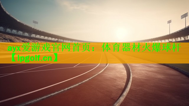 体育器材火爆球杆