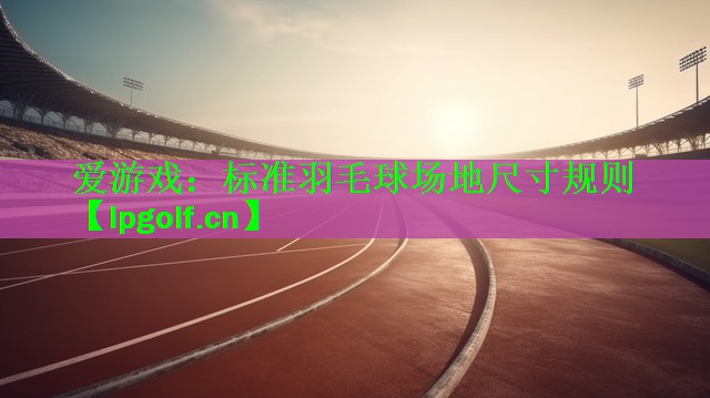 标准羽毛球场地尺寸规则