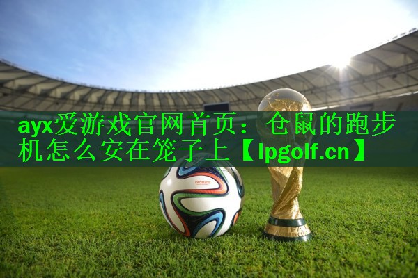 仓鼠的跑步机怎么安在笼子上