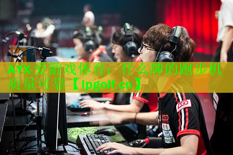 什么牌的跑步机质量可靠